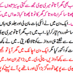 Healthy-Kidneys-8-Warning-Signs-That-Your-Kidneys-Are-Toxic (1)